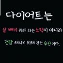 다모아사우나 이미지