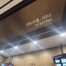 썬오락실 | 전남 진도 아이와가볼만한곳 쏠비치진도 인피니티풀 수영장 오락실 플레이존 진도개테마파크