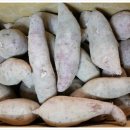 현중농장 이미지