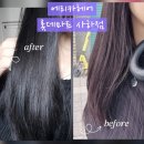 사하구 을숙도대로 | 부산 장림 미용실 에리카헤어 사하점에서 데미EQ클리닉 관리팁 솔직후기 주차정보