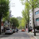 서울대학교 이미지