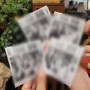 십이안젤로