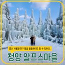 상촌감마을영농조합법인 | 2025 충남 청양 알프스마을 주차 초등학교방학 겨울 썰매장 가볼만한곳