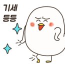 여진카페
