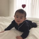 투투PC 이미지