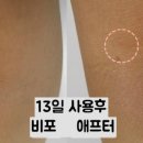 오투싸이언스