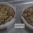 브라우니외.. 이미지