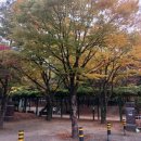 중앙근린공원 공중화장실 이미지