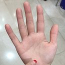 예송 이미지