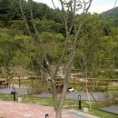 홍천강 자라바위 오토캠핑장 이미지