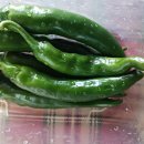 뉴드림약국 이미지