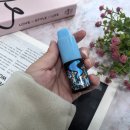 버블몬 일회용 전자담배 사용 후 정착한 제품 후기