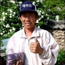 임승대 카카오 검색결과