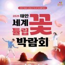 튤립 이미지