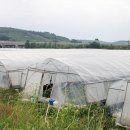 김순영 농장 이미지