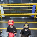 형제다이어트복싱클럽 이미지