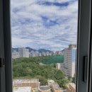 상일F&S | 6월 2째주 • 빨래를 잘하자, 책 많이 읽음, ESFJ 20대 후반 여자, 사고쳐도 엄마가 혼 안냄