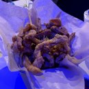 도원22 티스토리