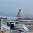 우진기사식당 | [갑자기 떠난 제주] 제주 우진 해장국 제주공항 근처 맛집 고사리 육개장 vs 몸국 (+주차 꿀팁)