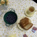 리리네 민박 이미지