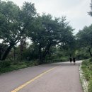 남산하누리협동조합 | [라이프케어 이종협동조합연합회 X 자연드림] 다이어트 챌린지 day-6 남산등산