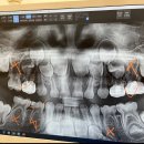 지앤미치과의원 이미지