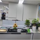 새수원부동산중개사무소 | 세류동부동산 첫 방문으로 알아본 내 집 마련 꿀팁 총정리 🏠✨