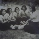 이*수 - 안양시 동안구 포도원로27번길 | 이*수