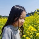 이천시 모가야구장 이미지