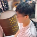 베이직살롱 이미지