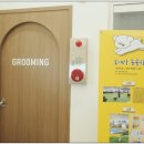 대구애견미용 모여라솜뭉치 이미지