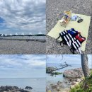 파출소 화장실 | [경주 여름휴가] <오류고아라해변 / 송대말등대> 물놀이 후기 및 꿀정보☀️🏝️