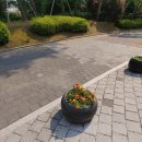 광교45단지 공인중개사사무소 이미지