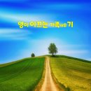 버트 이미지
