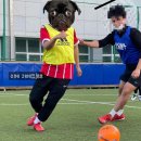 복싱피스트 | [From, 블로그씨] 왓츠인 마이 백 (운동가방)