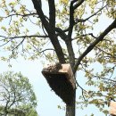 삼백농장 이미지