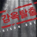 강남-266 이미지