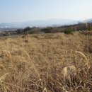 거창읍-14 이미지