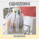 과일리담 | 울산 과일바구니 달콤새콤하고 예쁨가득한 리담에서