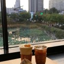 피엔비 전동점 | 바람을 타고 날아오르는 새들은 걱정 없이