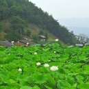 제일전통영농조합법인