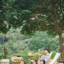 진도 카멜리아 힐즈 오토캠핑장 이미지