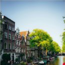 달빛구이 이미지