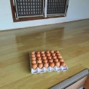 나산면사무소 이미지