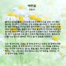 백향