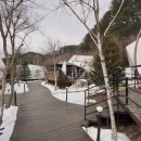 파인빌펜션 | 가평글램핑 파인포레스트 글램핑에서 겨울 힐링 제대로 하고 온 후기