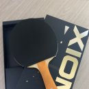 비비드vivid Daum카페