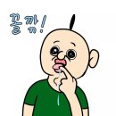 수목원 맛집)영희네닭갈비바베큐 가평점 애견동반 가능한 가평 철판닭갈비 막국수 맛집 가평 애견동반 맛집