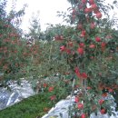 가재골농장 이미지