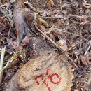 은평-076 이미지